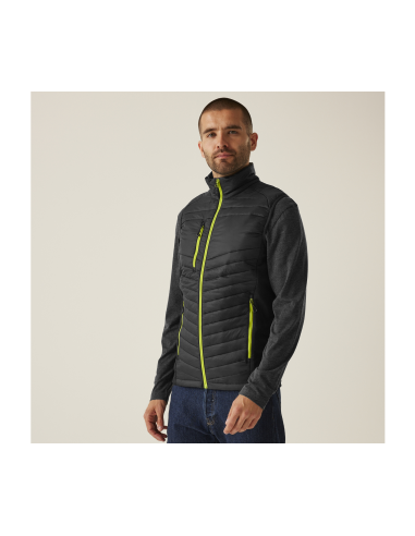 REG-TRA894-Navigate Hybrid Bodywarmer